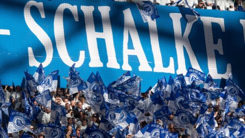 Schalkes Fan-Plan für ein Hoffenheim-Heimspiel