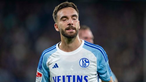 Schalke 04: Eine Warnung für die Profis! Ungewöhnliche Fan-Reaktion auf Schalke | Fußball