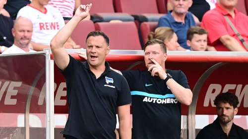 Dardai sauer auf
Spaziergänger Cunha