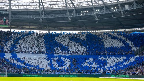 Streit um 50+1: DFL-Bosse sauer auf Schalke | Fußball
