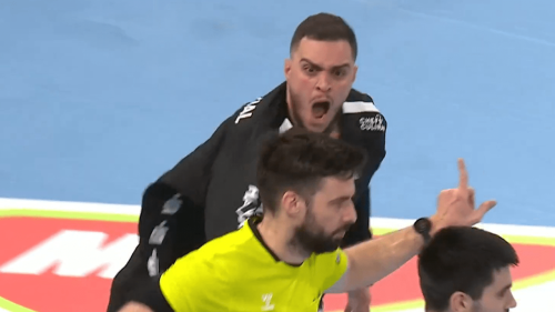 Krasse Szene beim Handball: Schrei-Attacke! Torwart verfolgt Schiri übers Feld | Sportmix