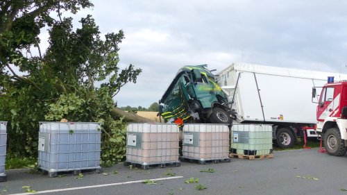 Reh fliegt in Scheibe von Laster