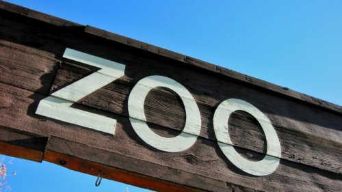 Nun ist es raus: Zootier des Jahres 2023 ist ...