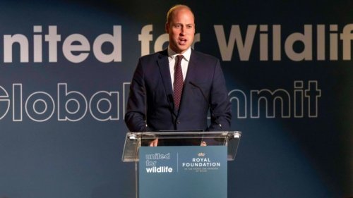 William in erster Rede als Prinz von Wales: Queen wird "sehr vermisst"