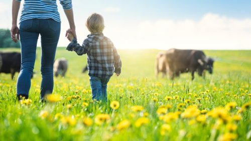Die besten Tipps für Urlaub auf dem Bauernhof