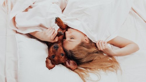 Schlaf: Wie sich Haustiere im Bett auf unsere Nachtruhe auswirken
