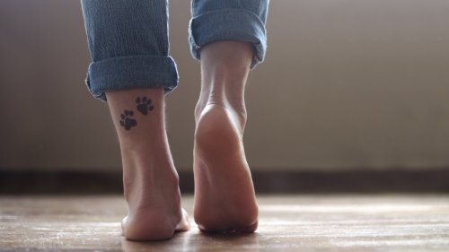 Hund, Katz' & Co für immer auf der Haut: 11 kreative Tattoo-Ideen