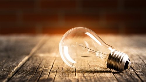 Mit alten Glühbirnen basteln: Kreative DIY-Deko entsteht