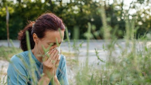 Heuschnupfen-Alarm: Zahl der Allergien steigt