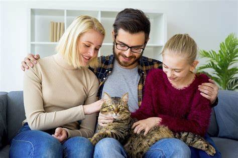 Best Cat Breeds for Families