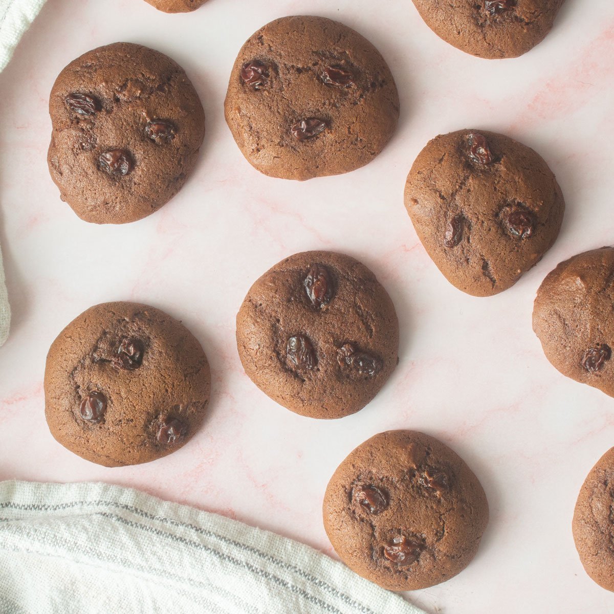 Molasses Cookies