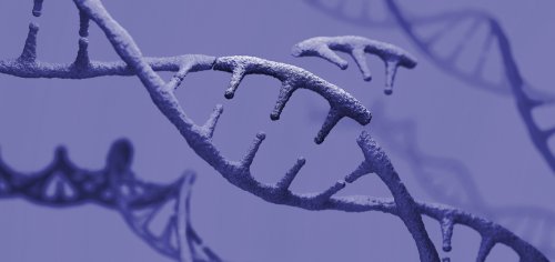 CRISPR, with new partner, to develop gene editing therapies for ALS, nerve disorder