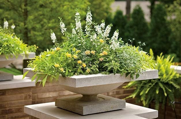 The 7 Do’s and Don’ts of Garden Containers