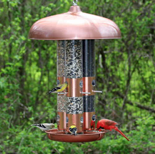 The Best Tube Bird Feeders for Your Yard | Flipboard