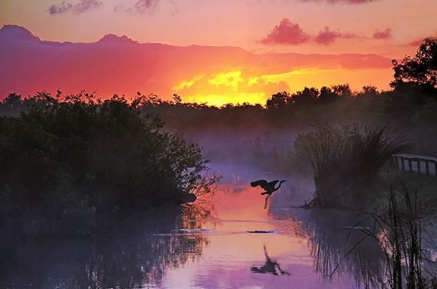 10 Spectacular National Park Birding Sites