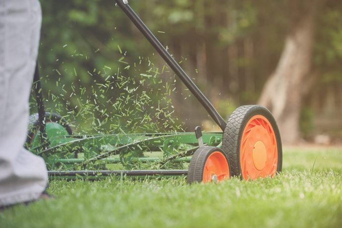 19 Things Your Landscaper Won’t Tell You