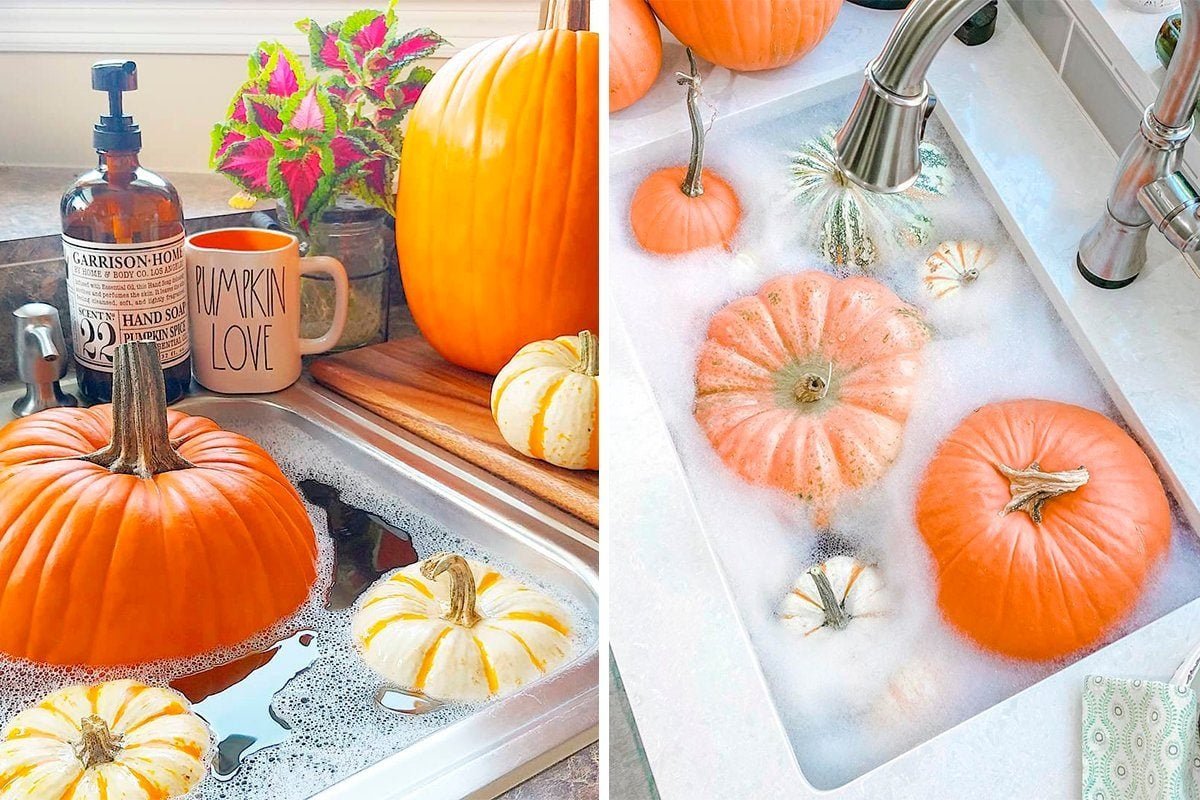 How to Preserve a Pumpkin the Right Way