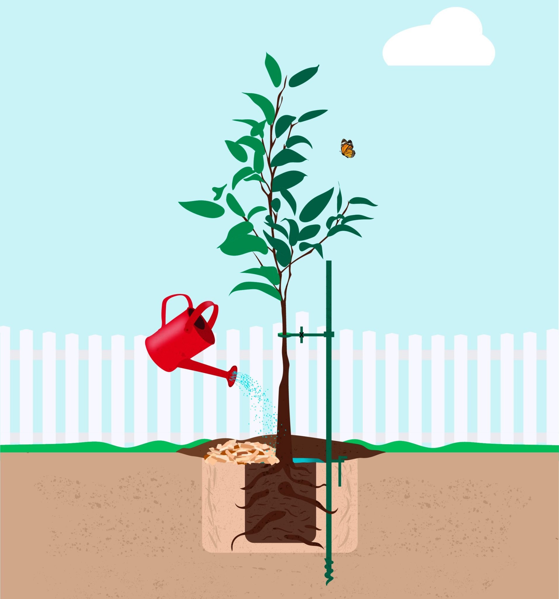 6 Essential Steps for Tree Planting Success