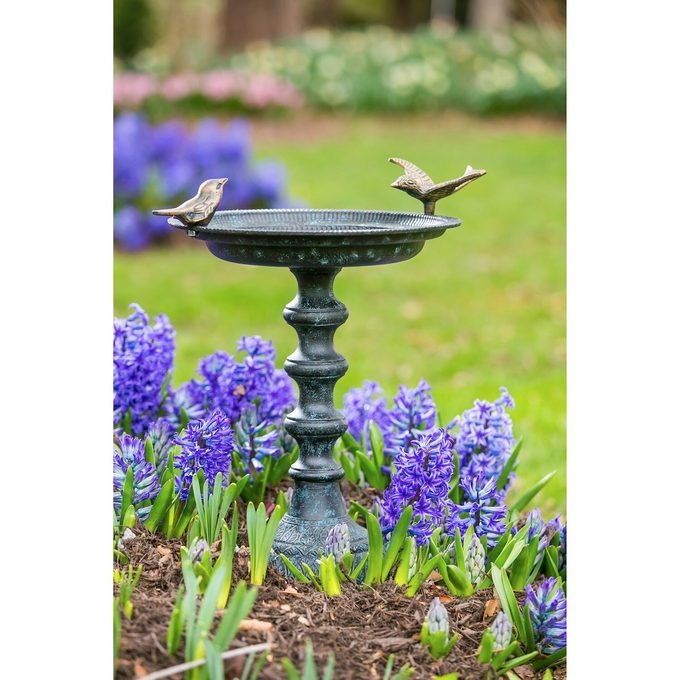 21 Best Bird Baths and Fountains for Attracting Birds