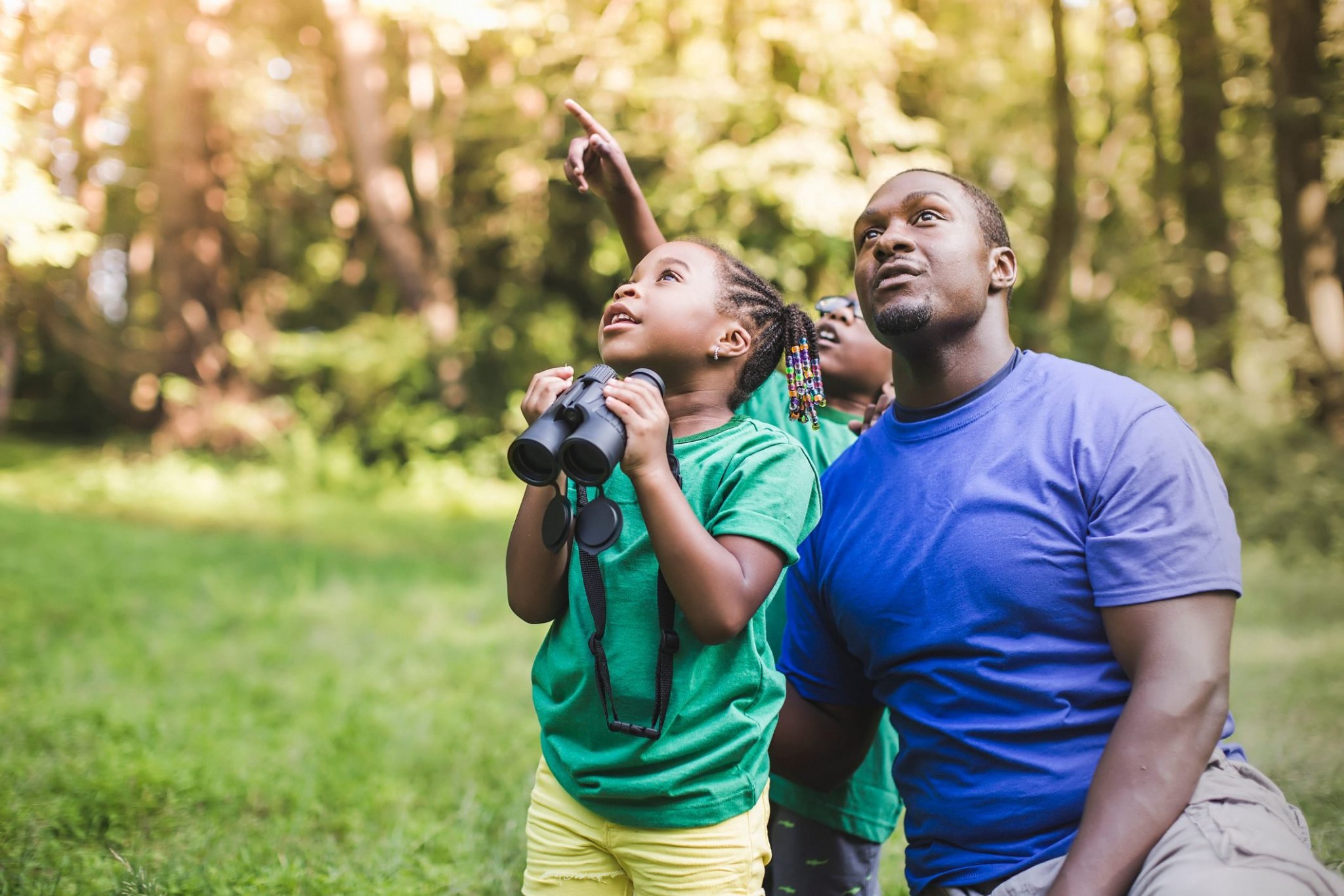 How to Start Birding: Birdwatching Tips for Beginners