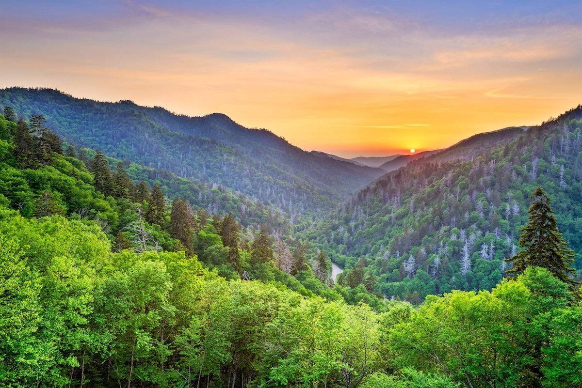 Visit Great Smoky Mountains to See Birds and Wildlife