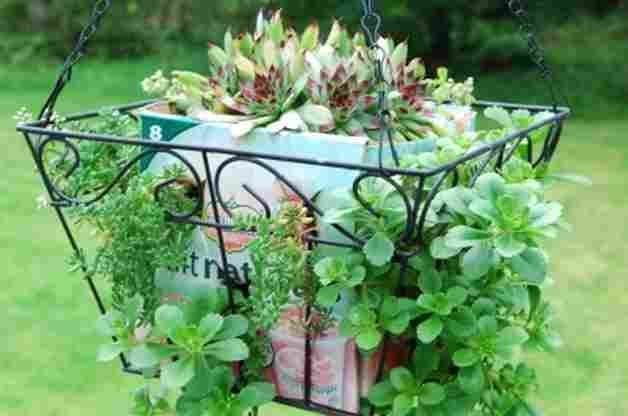 Cardboard Garden Hanging Basket Project