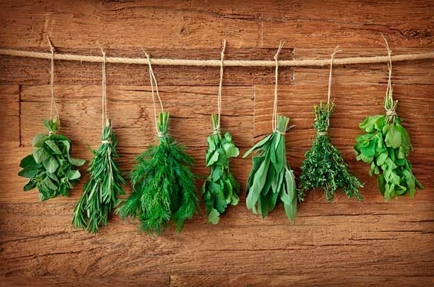 How to Harvest, Store and Dry Herbs