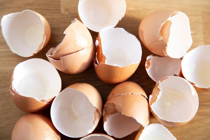 7 Ways to Use Eggshells in the Garden