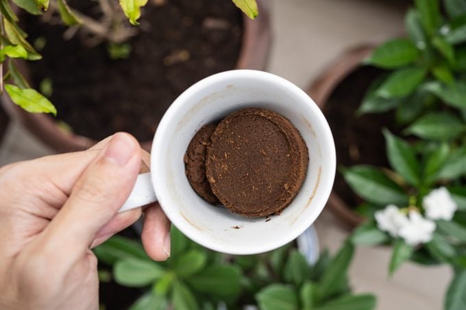 4 Ways to Use Coffee Grounds in the Garden
