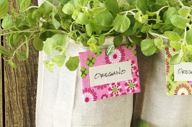 Grow a Vertical Herb Garden in a Shoe Organizer