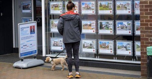 Households put on alert as mortgage lender slashes rates on fixed deals