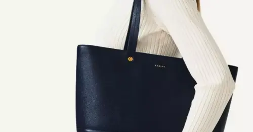 Radley bag hailed as bargain 'alternative to Louis Vuitton' cabin bag reduced by £144 in online sale