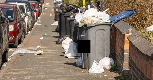 Exact date of next bin strike crunch talks as hopes rest on imminent resolution