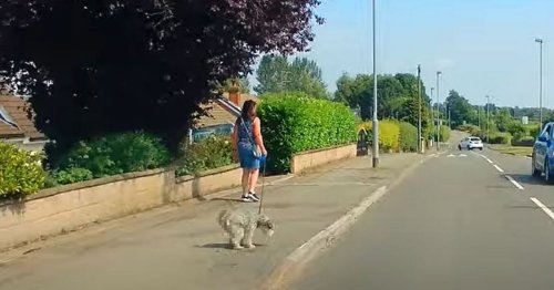 Watch as woman branded a 'cheeky cow' in dog poo row