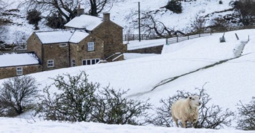 UK faces '18 hours' of 'non stop' snow as BBC Weather team issues warning