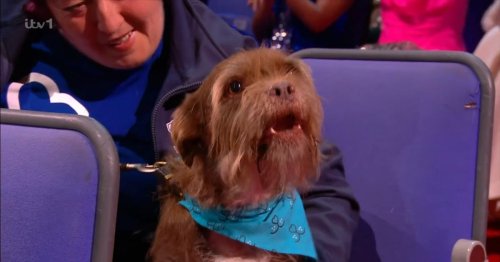 Paul O'Grady fans in tears as they spot sign he was at National Television Awards in spirit