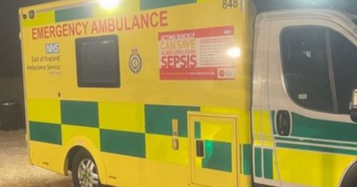 Gemma Collins health scare as ambulance rushes to her home