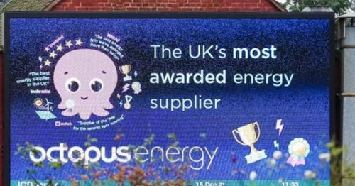 Octopus Energy customers handed boost and 'it's the only company' to do so