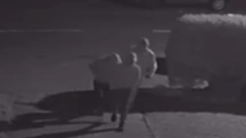 In pictures: Chilling CCTV shows violent burglary gang before - and ...