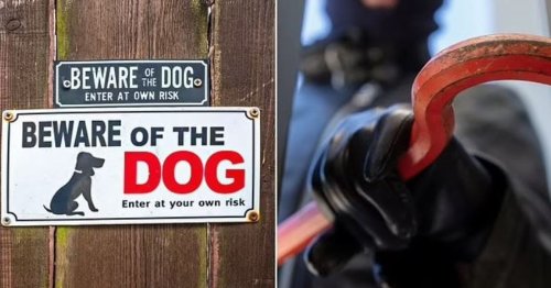 UK households with 'Beware the Dog' sign warned take it down immediately
