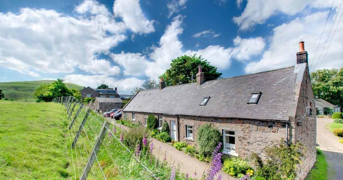 Cornwall, Wales and Cambridge among top UK bucket list experiences for spring