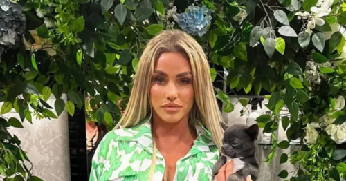Katie Price sparks concern with photo as fans issue her a plea