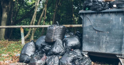8 potential risks to be aware of during Birmingham bin strike