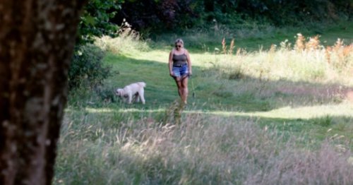 UK faces mini 20C heatwave in 'hottest March since records began'