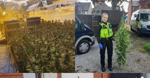 Two men arrested after £170k cannabis farm found in Tipton