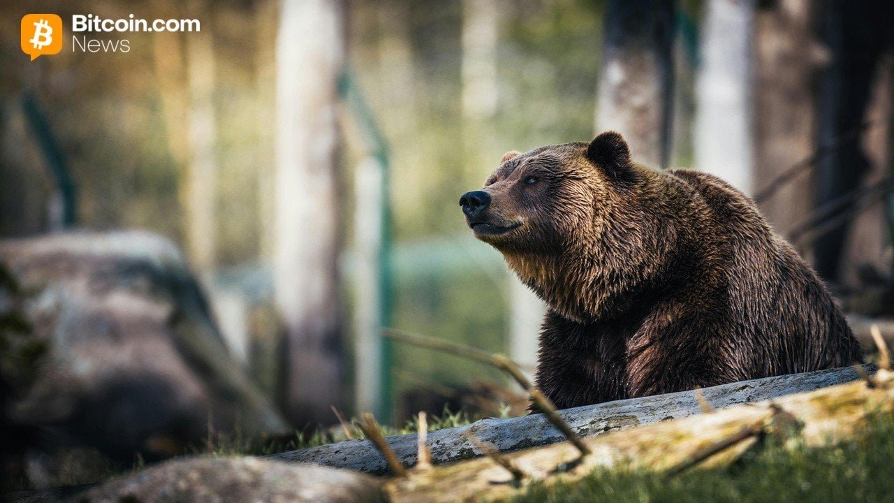 Cryptoquant's Ki Young Ju Warns Bitcoin's Bear Market Could Run Into Early 2027