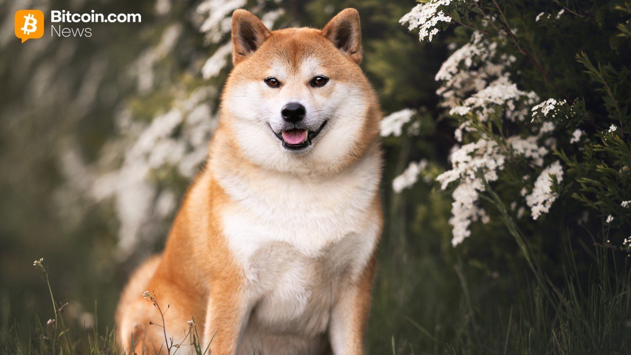 Bitwise Debuts Dogecoin ETF on NYSE With Fee Incentives and Mainstream Appeal