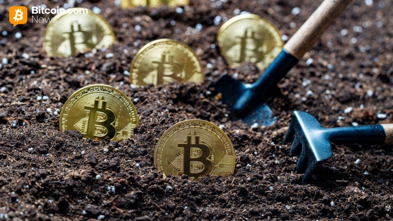 The Final Million: Why Experts Say 20 Million BTC Mined Cements ‘Provable Scarcity’