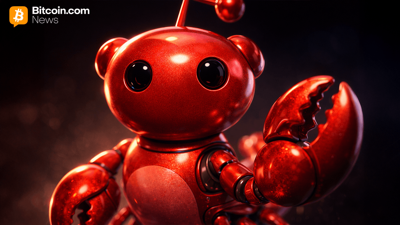 Moltbook: How AI Agents Ended up Building Their Own Social Network