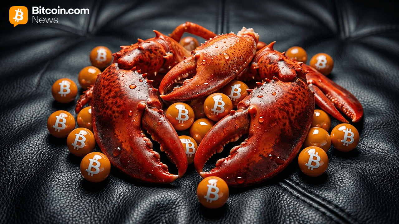 Openclaw’s 20+ Crypto Capabilities — and Why Verification Matters